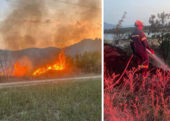 Πυρκαγιά κινητοποίησε την Πυροσβεστική σε περιοχή της Κοινότητας Μεσιανής Σερβίων (Φωτογραφίες + Βίντεο)