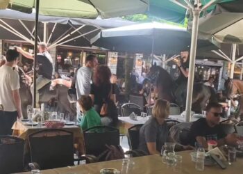 Σαμαρίνα: Καβαλάρηδες από όλη την Ελλάδα συναντώνται στα βουνά των Γρεβενών