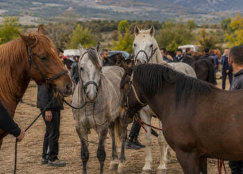 3η Πανελλήνια Ιππική Συνάντηση Αιανής – «Εις μνήμην Κώστα Παπαδόπουλου»