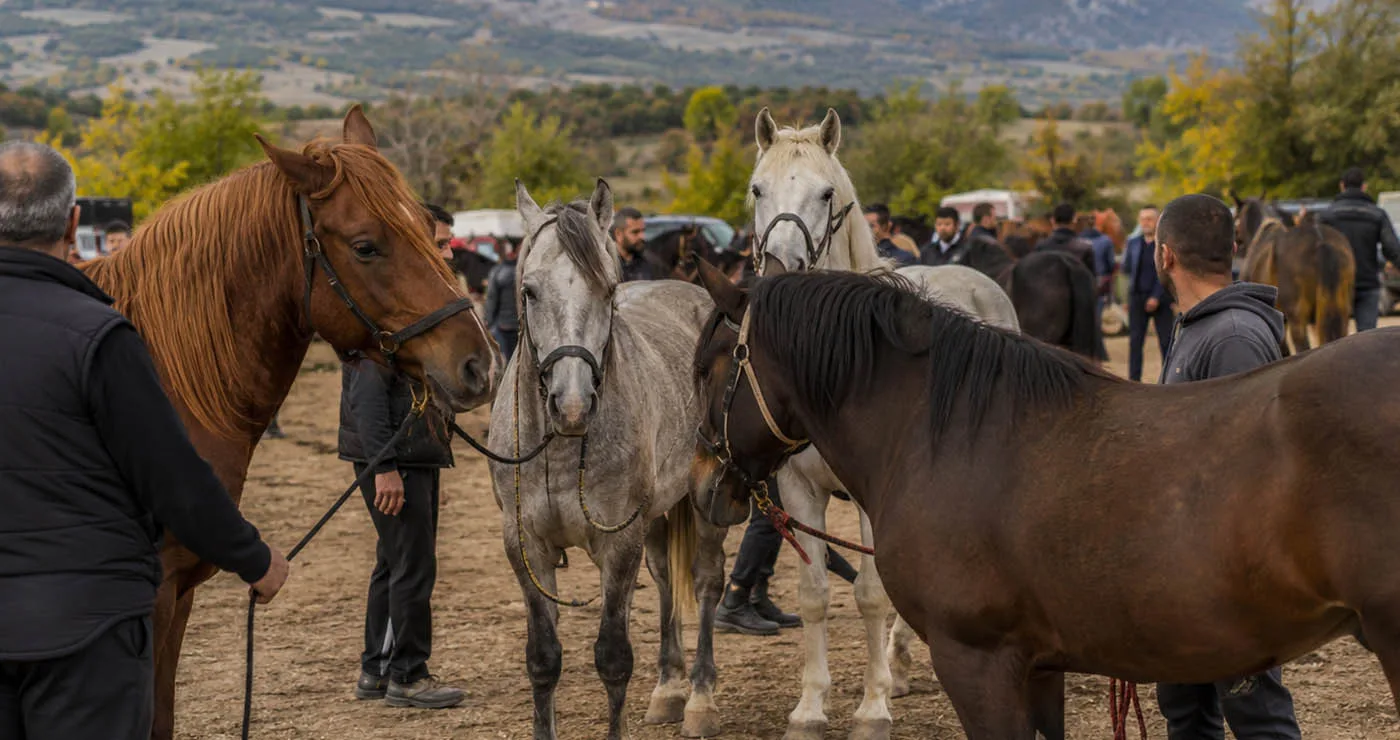 3η Πανελλήνια Ιππική Συνάντηση Αιανής – «Εις μνήμην Κώστα Παπαδόπουλου»