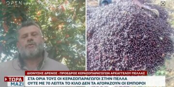 Πέλλα: Πέταξαν πάνω από 15 τόνους κεράσια αξίας 10.000 ευρώ γιατί δεν βρίσκουν αγοραστές