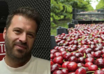 Πως φτάνει στα 6 ευρώ/κιλό η τιμή των κερασιών –  Οι αιχμηρές δηλώσεις και το παράπονο του Κυριάκου Λωτίδη