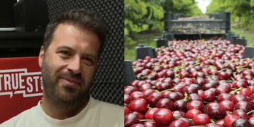 Πως φτάνει στα 6 ευρώ/κιλό η τιμή των κερασιών –  Οι αιχμηρές δηλώσεις και το παράπονο του Κυριάκου Λωτίδη