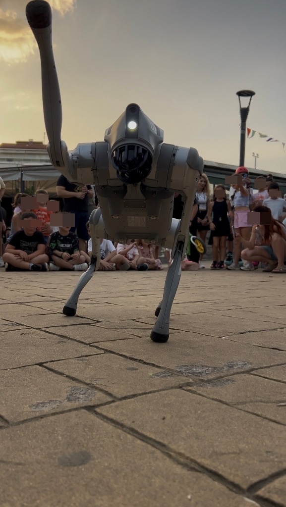 original-9DFCC551-7A57-406D-8951-0787C79FD072_compressed.jpg