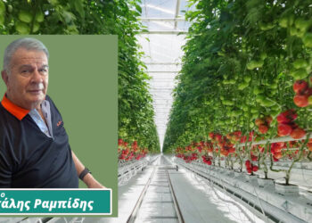 Υδροπονία: Τα συγκριτικά πλεονεκτήματα της Πτολεμαΐδας  Γράφει ο Μιχάλης Ραμπίδης  