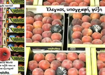 VELVITA: Η γεύση του Βελβεντού ετοιμάζεται να φτάσει στο τραπέζι σας