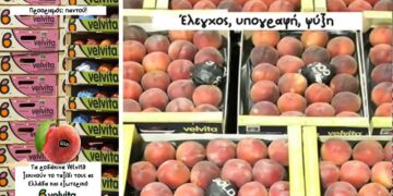VELVITA: Η γεύση του Βελβεντού ετοιμάζεται να φτάσει στο τραπέζι σας