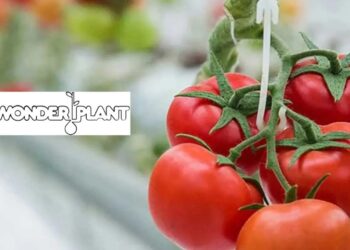 Ανοίγει το μεγάλο κεφάλαιο της Wonderplant – Πανηγυρική έναρξη εργασιών την Πέμπτη