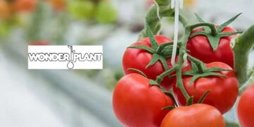 Ανοίγει το μεγάλο κεφάλαιο της Wonderplant – Πανηγυρική έναρξη εργασιών την Πέμπτη