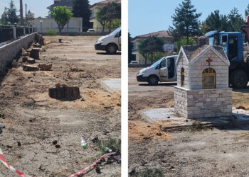 Κοπή δέντρων στο 2ο δημοτικό Πτολεμαϊδας (Γράφει ο Χαράλαμπος Γοτουχίδης)