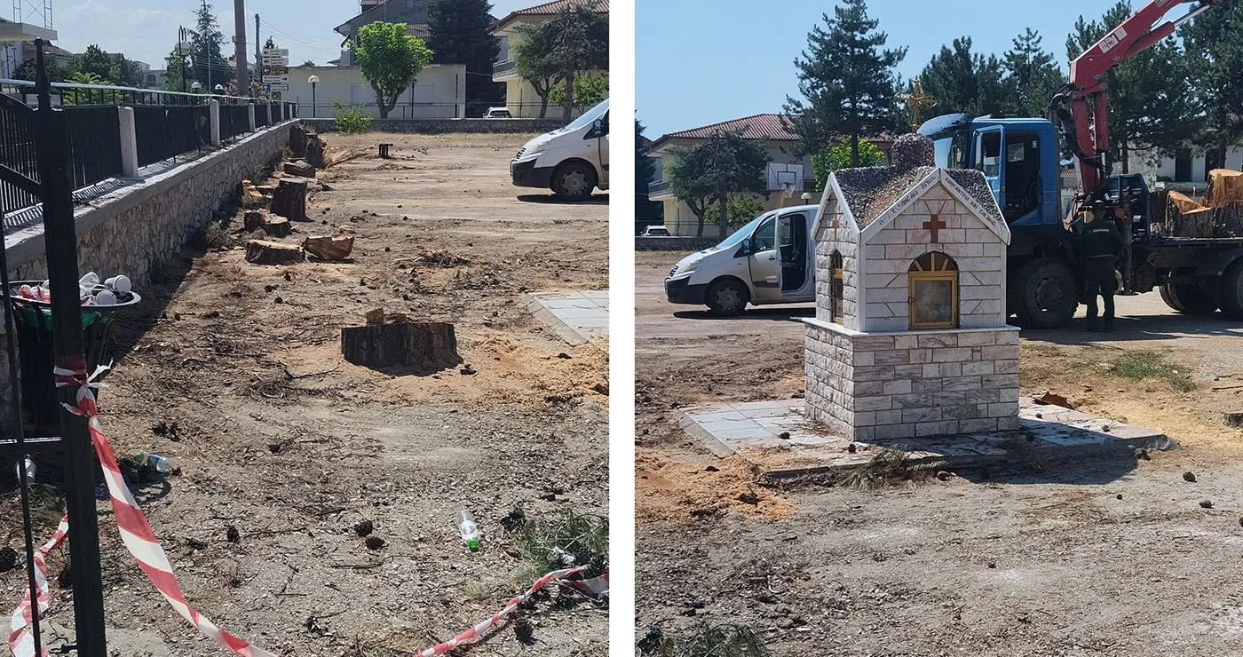 Κοπή δέντρων στο 2ο δημοτικό Πτολεμαϊδας (Γράφει ο Χαράλαμπος Γοτουχίδης)