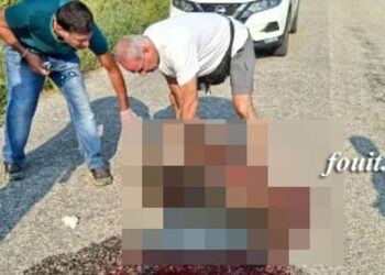 Καστοριά: Τροχαίο με θύμα αρκουδάκι (φωτο)