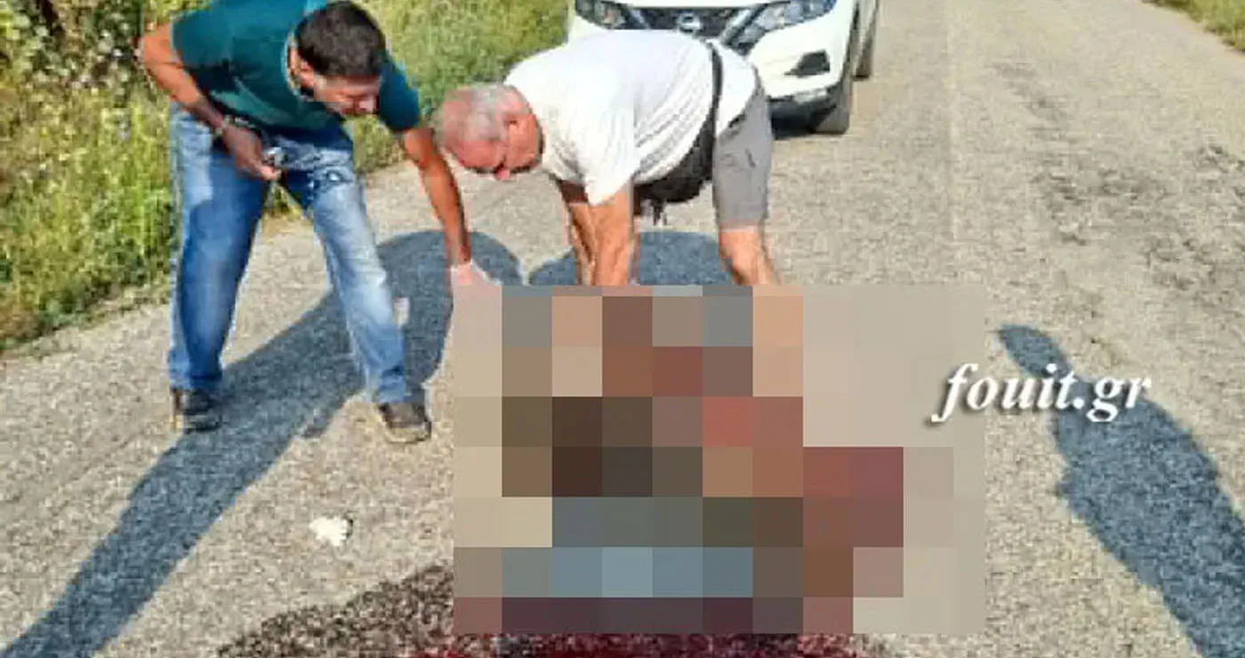 Καστοριά: Τροχαίο με θύμα αρκουδάκι (φωτο)
