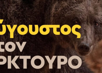 ΑΡΚΤΟΥΡΟΣ: Καλοκαιρινές επισκέψεις δίπλα σε αρκούδες, λύκους και λύγκες (Πρόγραμμα)