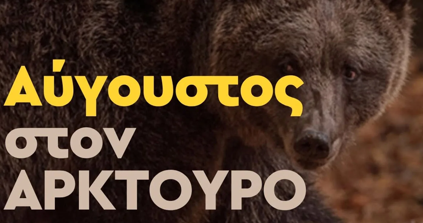 ΑΡΚΤΟΥΡΟΣ: Καλοκαιρινές επισκέψεις δίπλα σε αρκούδες, λύκους και λύγκες (Πρόγραμμα)