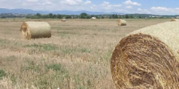 Έπιασαν δουλειά τα τρακτέρ στον κάμπο της Εορδαίας, για τις αχυρόμπαλες (της Κούλας Πουλασιχίδου)