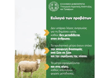Καστοριά: Νέα έκτακτα μέτρα για την ευλογιά των αιγοπροβάτων μετά την επιβεβαίωση και του δεύτερου κρούσματος