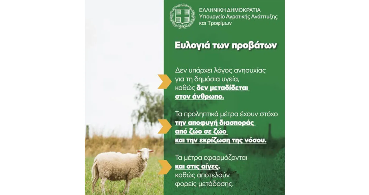 Καστοριά: Νέα έκτακτα μέτρα για την ευλογιά των αιγοπροβάτων μετά την επιβεβαίωση και του δεύτερου κρούσματος