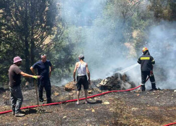 Φωτιά στα Πετρανά Κοζάνης – Άμεση κινητοποίηση Πυροσβεστικής και Δήμου