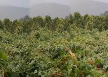 Σφοδρή κακοκαιρία στην Καστοριά: Χαλάζι και δυνατοί άνεμοι έπληξαν τις καλλιέργειες