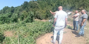 Πρέσπες: Ζημιές στα φασόλια από ισχυρή μπόρα και χαλάζι
