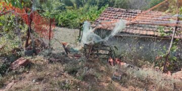 Επίθεση αρκούδας σε κοτέτσια στην Κερασιά Κοζάνης