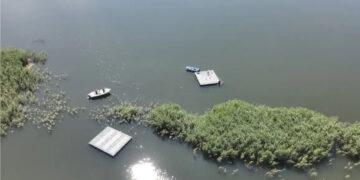 Μικρή Πρέσπα: Πλωτές εξέδρες για την προστασία των αποικιών πελεκάνων από θηρευτές και ανομβρία (φωτογραφίες)