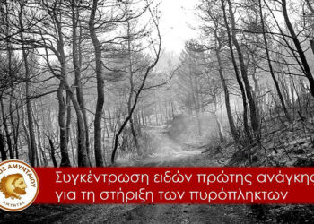 Κάλεσμα αλληλεγγύης του Δήμου Αμυνταίου για τους πυρόπληκτους των Βιλίων