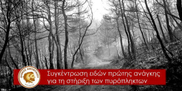 Κάλεσμα αλληλεγγύης του Δήμου Αμυνταίου για τους πυρόπληκτους των Βιλίων