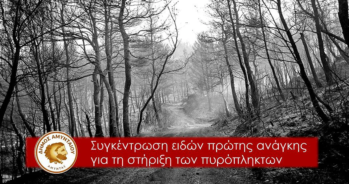 Κάλεσμα αλληλεγγύης του Δήμου Αμυνταίου για τους πυρόπληκτους των Βιλίων