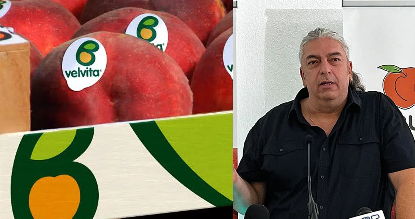 ΑΣΕΠΟΠ Βελβεντού: Καλή σοδειά, αλλά δύσκολη η αγορά στα ροδάκινα– Το στοίχημα για τον παραγωγό