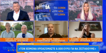 Αμύνταιο – Ελισάβετ Κούγια: «Η καταστροφή μας είναι τον χειμώνα, χρειαζόμαστε 8.000 ευρώ για να ζεσταθούμε»