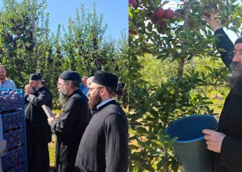 Στα χωράφια του Τοιχιού ο Μητροπολίτης Καστοριάς Καλλίνικος – Ευλόγησε τη φετινή συγκομιδή μήλων