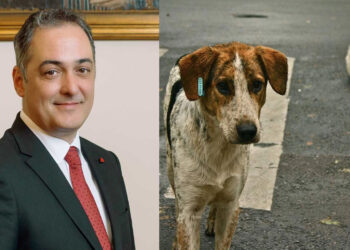 «Συνεχίζουμε να καμαρώνουμε για τη διαχείριση των αδέσποτων- Το ζήτημα μπήκε σε άλλα ρέγουλα…»- Προσωπικοί οι λόγοι της παραίτησης της ειδικής συνεργάτιδας σύμφωνα με το Δήμαρχο Κοζάνης