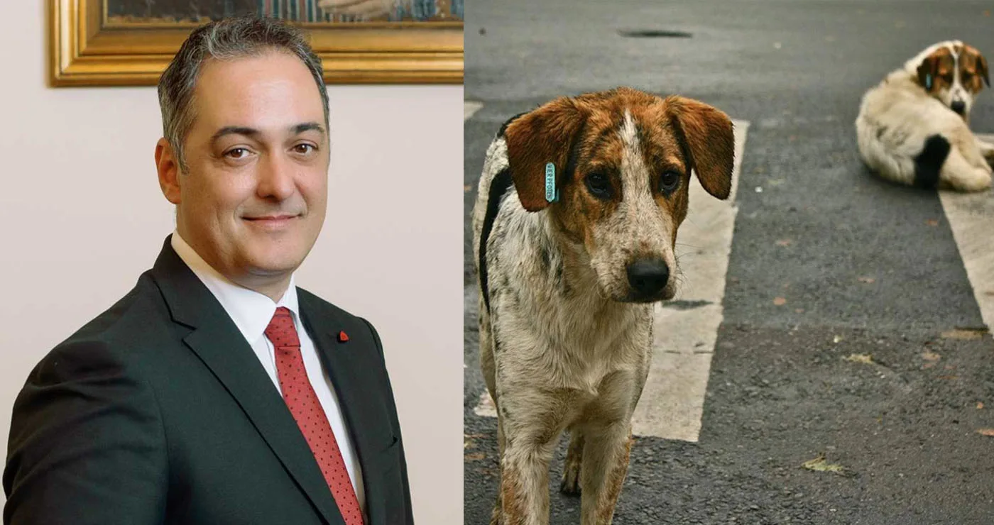 «Συνεχίζουμε να καμαρώνουμε για τη διαχείριση των αδέσποτων- Το ζήτημα μπήκε σε άλλα ρέγουλα…»- Προσωπικοί οι λόγοι της παραίτησης της ειδικής συνεργάτιδας σύμφωνα με το Δήμαρχο Κοζάνης