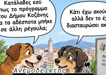 Η λύση για τα αδέσποτα που όλο και αργεί… – Δεν αρκεί από μόνη της η οικονομική ενίσχυση… – Ο ΑΝΕΜΟΔΕΙΚΤΗΣ σχολιάζει