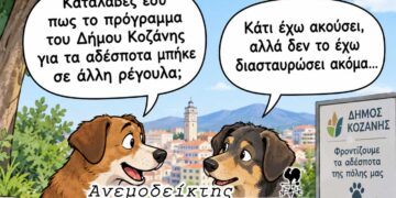Η λύση για τα αδέσποτα που όλο και αργεί… – Δεν αρκεί από μόνη της η οικονομική ενίσχυση… – Ο ΑΝΕΜΟΔΕΙΚΤΗΣ σχολιάζει