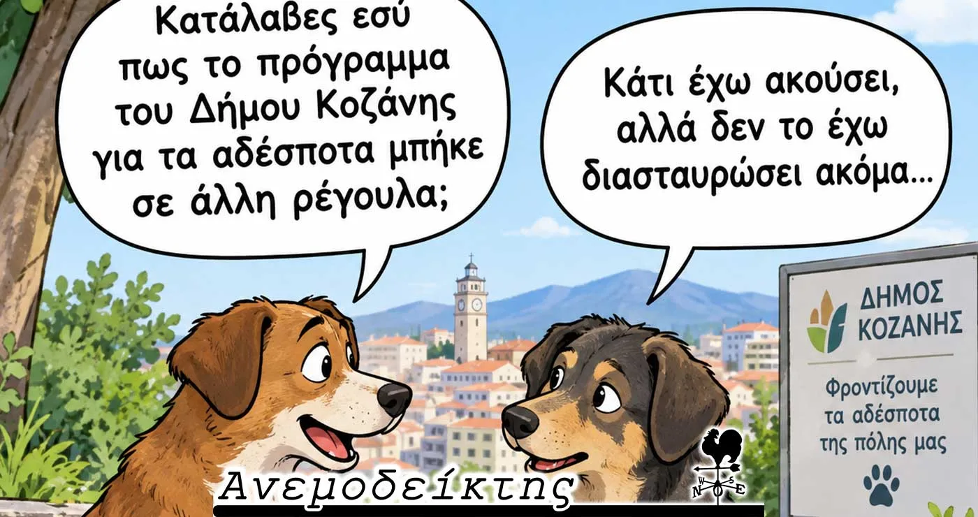 Η λύση για τα αδέσποτα που όλο και αργεί… – Δεν αρκεί από μόνη της η οικονομική ενίσχυση… – Ο ΑΝΕΜΟΔΕΙΚΤΗΣ σχολιάζει