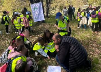 CluBE: Η Εμπειρία του Δάσους Κουρί συνεχίζεται μέχρι τον Δεκέμβριο!