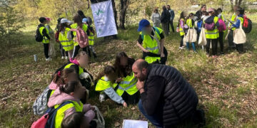 CluBE: Η Εμπειρία του Δάσους Κουρί συνεχίζεται μέχρι τον Δεκέμβριο!
