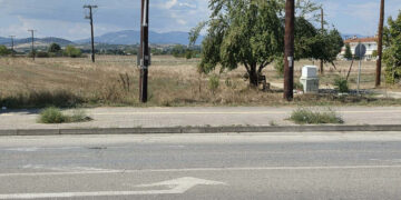 Πτολεμαΐδα: Οι δενδροδόχοι περιμένουν… τα δέντρα τους!