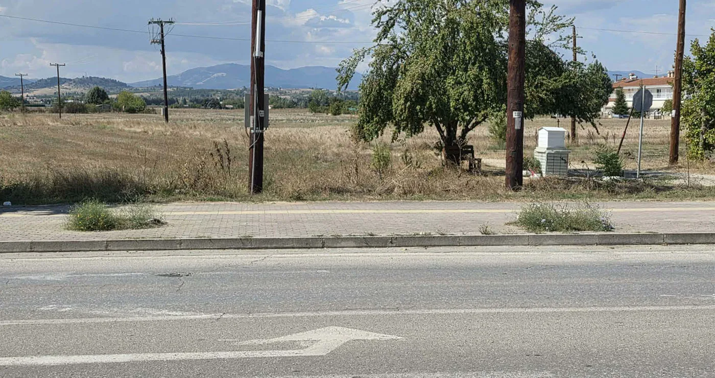 Πτολεμαΐδα: Οι δενδροδόχοι περιμένουν… τα δέντρα τους!
