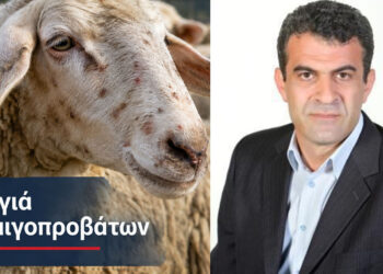 Δημήτρης Σαββόπουλος: «Δεν μπορώ να αποδώσω ευθύνες» για την ευλογιά των αιγοπροβάτων – Τι σχολιάζει για τις αιχμές Κεπαπτσόγλου
