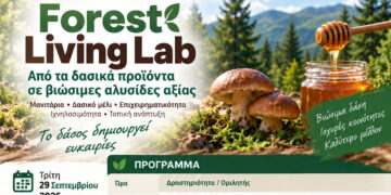Πρότυπο Δάσος Δυτικής Μακεδονίας: Το δάσος γίνεται ευκαιρία! –  Forest Living Lab στον Δήμο Βοϊου για τα Δασικά προϊόντα και τη νέα επιχειρηματικότητα
