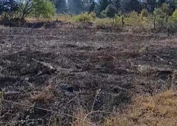 Κοζάνη: Φωτιά σε ξερά χόρτα στους Άγιους Σαράντα – Αιχμές των κατοίκων κατά του Δήμου για ελλιπή καθαρισμό πρασίνου