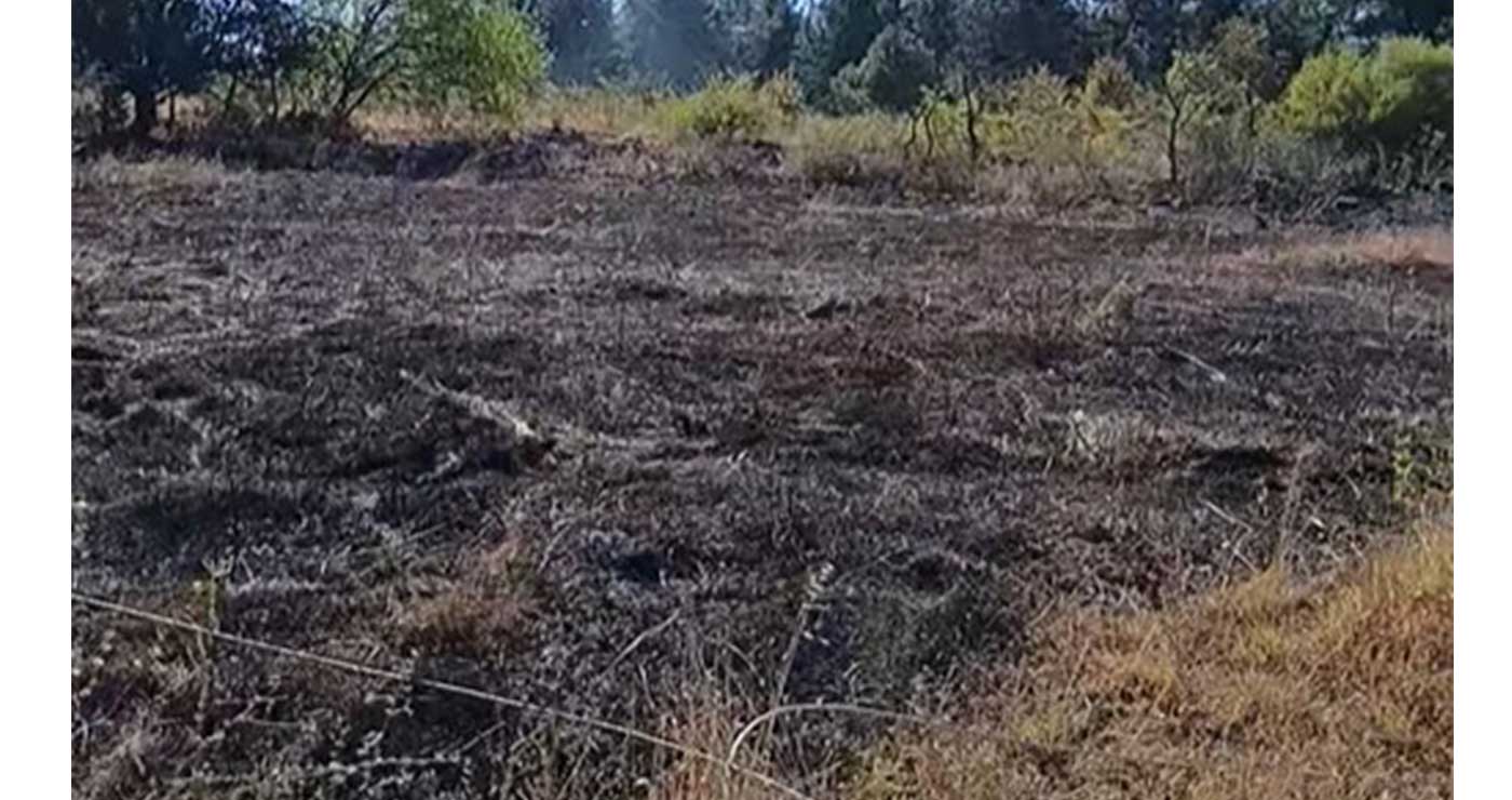 Κοζάνη: Φωτιά σε ξερά χόρτα στους Άγιους Σαράντα – Αιχμές των κατοίκων κατά του Δήμου για ελλιπή καθαρισμό πρασίνου
