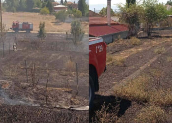 ΕΚΤΑΚΤΟ: Φωτιά στην Πεντάβρυσο Εορδαίας έφτασε μέχρι τα πρώτα σπίτια – Δυνάμεις της Π.Υ. Πτολεμαΐδας προλάβαν τα χειρότερα (ρεπορτάζ της Κούλας Πουλασιχίδου)