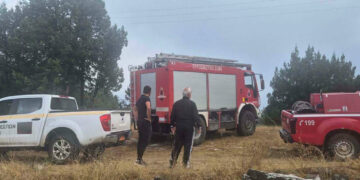 Πρέσπες: Κεραυνοί προκάλεσαν δύο πυρκαγιές – Άμεση κινητοποίηση της Πυροσβεστικής