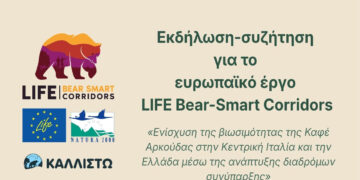 Καλλιστώ: Εκδήλωση για την ενίσχυση βιωσιμότητας της Καφέ Αρκούδας στο Σκλήθρο Αμυνταίου