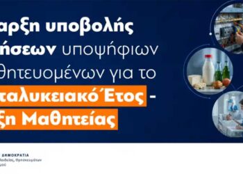 Έναρξη υποβολής αιτήσεων υποψηφίων μαθητευόμενων για το Μεταλυκειακό έτος – Τάξη Μαθητείας